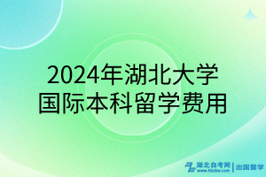 2024年湖北大學(xué)國際本科留學(xué)費(fèi)用