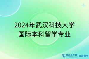 2024年武漢科技大學國際本科留學專業(yè)