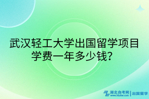 武漢輕工大學(xué)出國留學(xué)項(xiàng)目學(xué)費(fèi)一年多少錢？