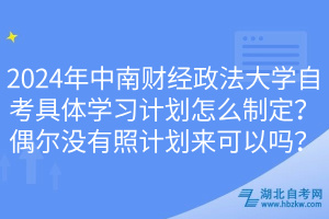 2024年中南財經(jīng)政法大學自考具體學習計劃怎么制定？偶爾沒有照計劃來可以嗎？