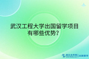 武漢工程大學出國留學項目有哪些優(yōu)勢？