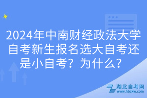 2024年中南財(cái)經(jīng)政法大學(xué)自考新生報(bào)名選大自考還是小自考？為什么？