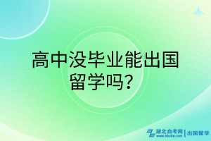 高中沒(méi)畢業(yè)能出國(guó)留學(xué)嗎？