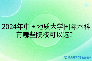2024年中國地質(zhì)大學(xué)國際本科有哪些院?？梢赃x？