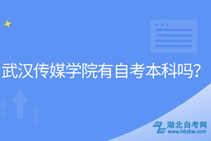 武漢傳媒學(xué)院有自考本科嗎？