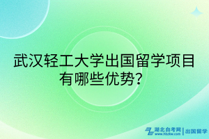 武漢輕工大學(xué)出國留學(xué)項目有哪些優(yōu)勢？