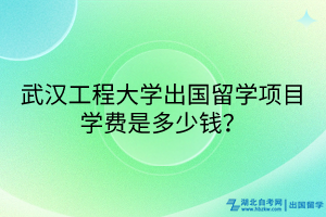 武漢工程大學(xué)出國留學(xué)項(xiàng)目學(xué)費(fèi)是多少錢？