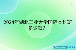 2024年湖北工業(yè)大學(xué)國際本科班多少錢？(1)