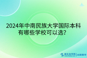 2024年中南民族大學國際本科有哪些學校可以選？