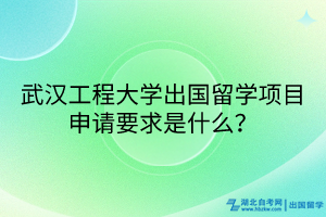 武漢工程大學(xué)出國(guó)留學(xué)項(xiàng)目申請(qǐng)要求是什么？