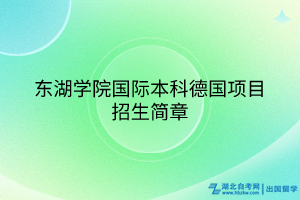 東湖學院國際本科德國項目招生簡章