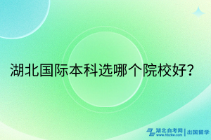 湖北國際本科選哪個(gè)院校好？
