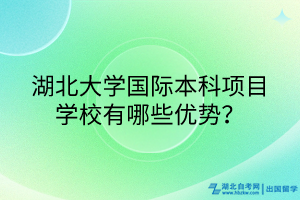湖北大學國際本科項目學校有哪些優(yōu)勢？
