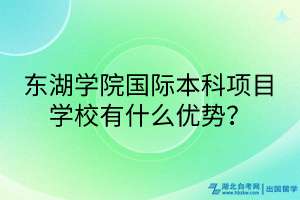 東湖學(xué)院國際本科項目學(xué)校有什么優(yōu)勢？