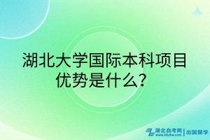 湖北大學國際本科項目優(yōu)勢是什么？
