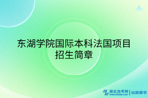 東湖學(xué)院國際本科法國項目招生簡章