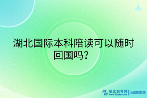 湖北國際本科陪讀可以隨時(shí)回國嗎？