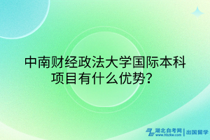 中南財(cái)經(jīng)政法大學(xué)國際本科項(xiàng)目有什么優(yōu)勢(shì)？