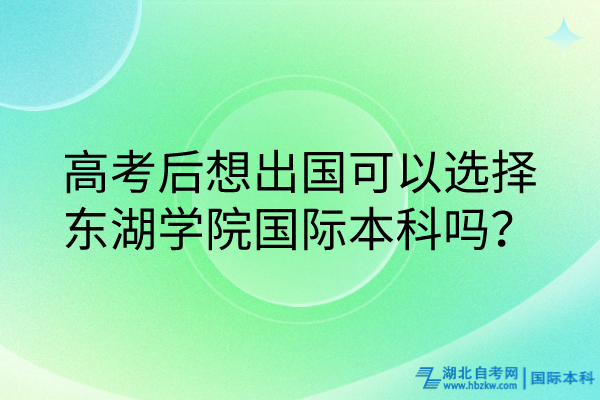 高考后想出國可以選擇東湖學院國際本科嗎？