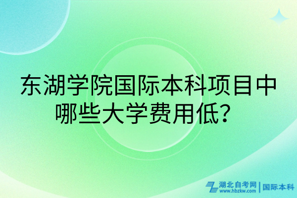 東湖學(xué)院國(guó)際本科項(xiàng)目中哪些大學(xué)費(fèi)用低？