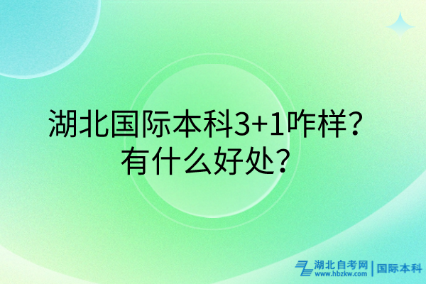 湖北國際本科3+1咋樣？有什么好處？