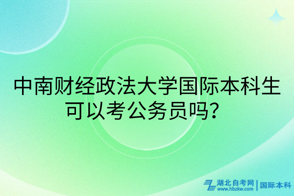 中南財經(jīng)政法大學國際本科生可以考公務員嗎？