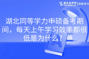 湖北同等學(xué)力申碩備考期間，每天上午學(xué)習(xí)效率都很低是為什么？