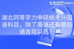湖北同等學(xué)力申碩統(tǒng)考外國語科目，除了英語還有哪些語言可以選？