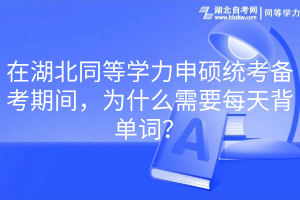 在湖北同等學(xué)力申碩統(tǒng)考備考期間，為什么需要每天背單詞？