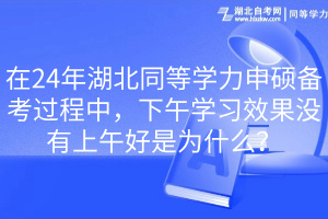 在24年湖北同等學力申碩備考過程中，下午學習效果沒有上午好是為什么？