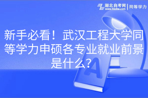 新手必看！武漢工程大學(xué)同等學(xué)力申碩各專業(yè)就業(yè)前景是什么？