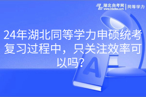 24年湖北同等學(xué)力申碩統(tǒng)考復(fù)習(xí)過程中，只關(guān)注效率可以嗎？