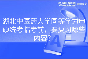 湖北中醫(yī)藥大學(xué)同等學(xué)力申碩統(tǒng)考臨考前，要復(fù)習(xí)哪些內(nèi)容？