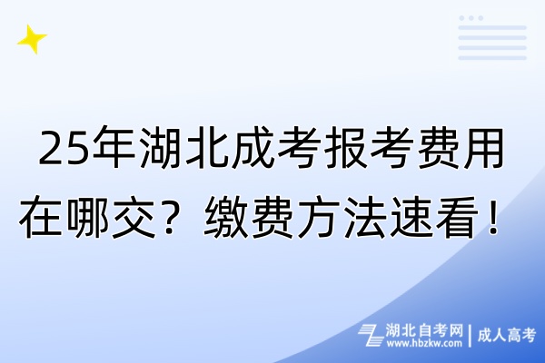 25年湖北成考報考費用在哪交？繳費方法速看！