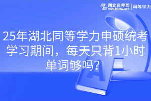 25年湖北同等學(xué)力申碩統(tǒng)考學(xué)習(xí)期間，每天只背1小時單詞夠嗎？