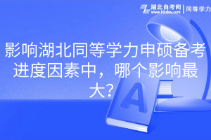影響湖北同等學(xué)力申碩備考進度因素中，哪個影響最大？