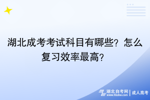 湖北成考考試科目有哪些？怎么復(fù)習(xí)效率最高？