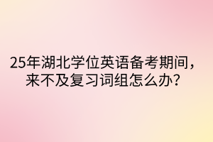25年湖北學(xué)位英語備考期間，來不及復(fù)習(xí)詞組怎么辦？