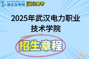 招生章程(20)