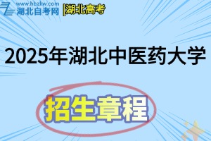 招生章程(11)