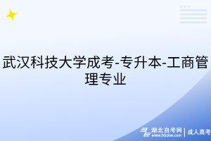 武漢科技大學(xué)成考-專升本-工商管理專業(yè)