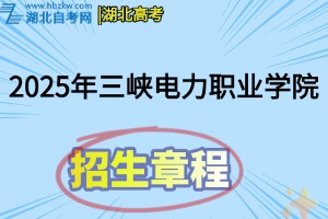 招生章程(13)