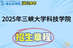 招生章程(19)