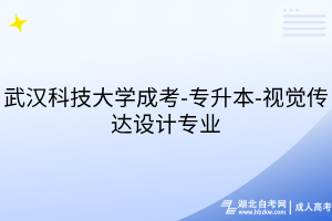武漢科技大學成考-專升本-視覺傳達設計專業(yè)