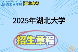 招生章程(13)
