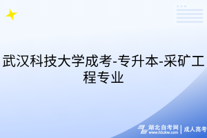 武漢科技大學(xué)成考-專升本-采礦工程專業(yè)