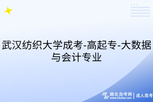 武漢紡織大學(xué)成考-高起專-大數(shù)據(jù)與會(huì)計(jì)專業(yè)