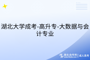 湖北大學成考-高升專-大數(shù)據(jù)與會計專業(yè)
