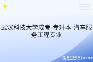 武漢科技大學(xué)成考-專升本-汽車服務(wù)工程專業(yè)