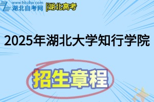招生章程(17)